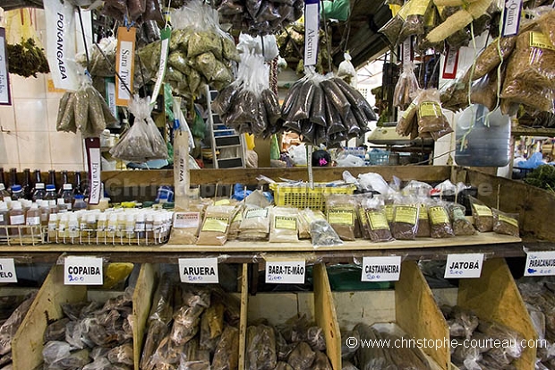 Traditionnal Plant Market of Manaus