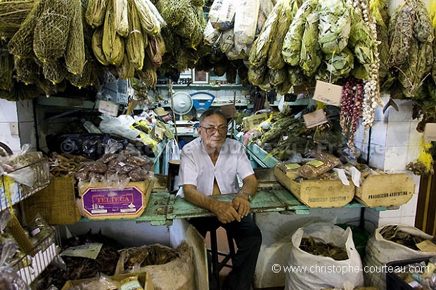 Traditional Medicine Plants Salesman