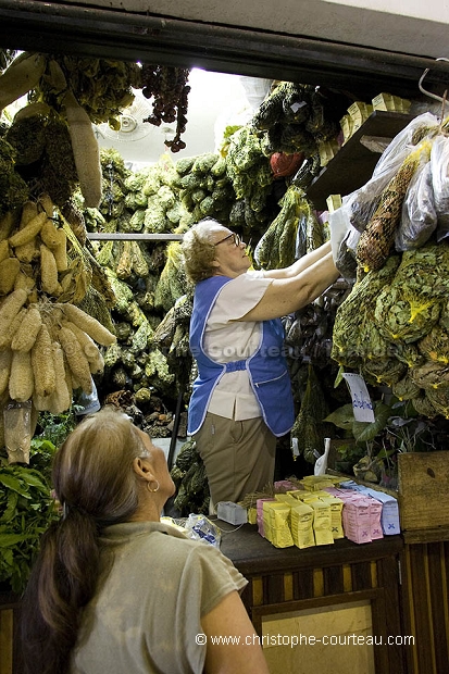 Traditional Medicine Plants Saleswoman