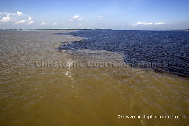 Manaus, rencontre des eaux