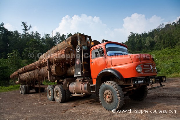 Transport de grumes