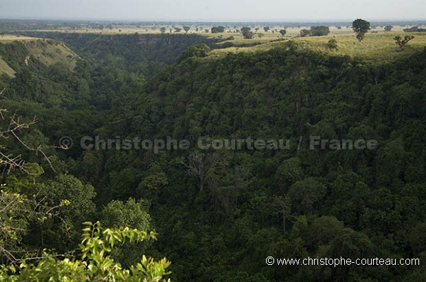 Gorges de Chambura en Ouganda- Kyambura or Chambura Gorges - Uganda