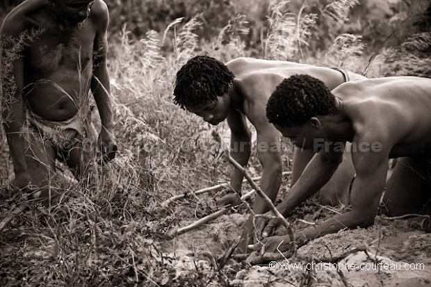 Chasseurs Bushmen au Botswana