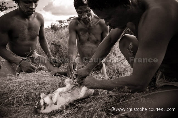 Bushmen Hunters