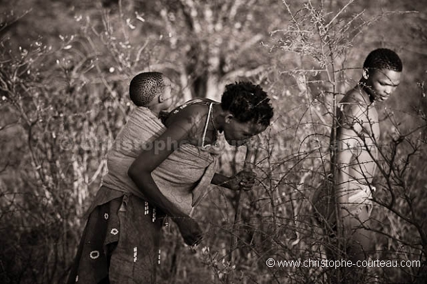 Bushmen looking for food in the bush