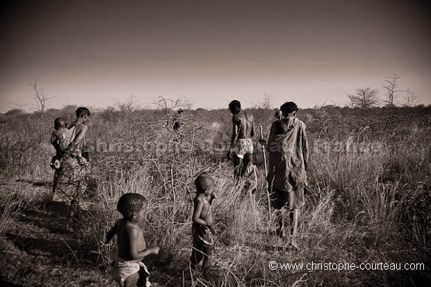 Bushmen recherchant leur nourriture en brousse.