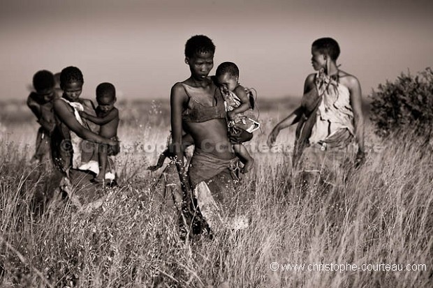 Bushmen recherchant leur nourriture en brousse.