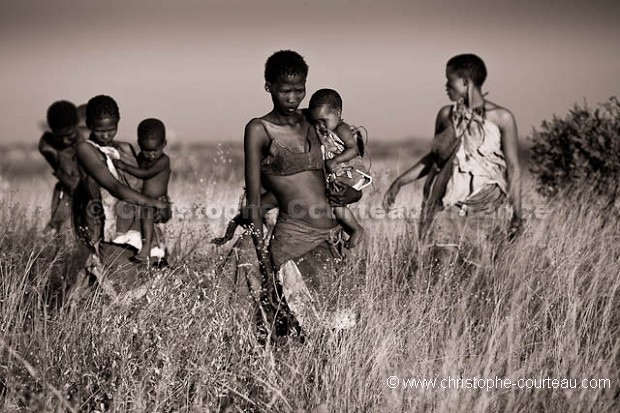 Bushmen looking for food in the bush