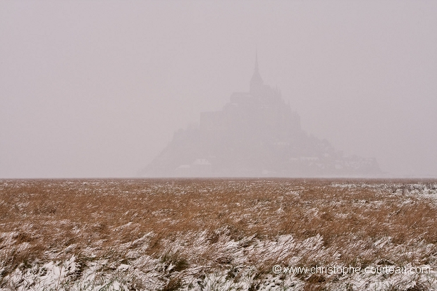 MOIS de JANVIER 2010