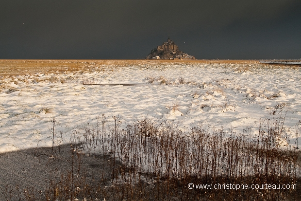 MOIS de JANVIER 2010