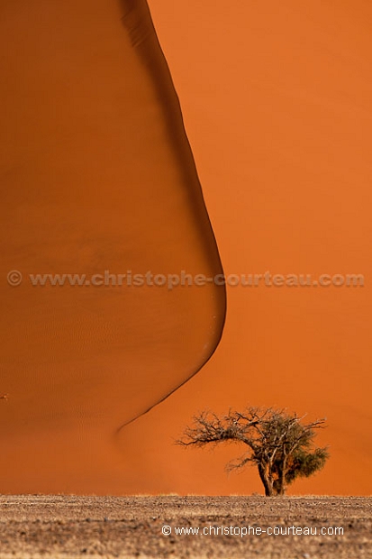 Dune de sable rouge de Sossusvlei. Namibie.