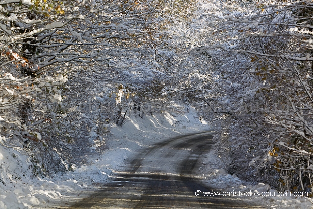 MOIS de DECEMBRE 2010