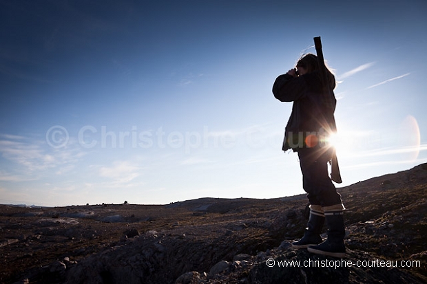 Guide naturaliste en arctique