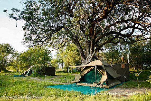 Camp de Brousse au Botswana