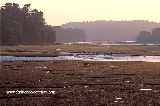 Marée basse sur les vasières du Bélon