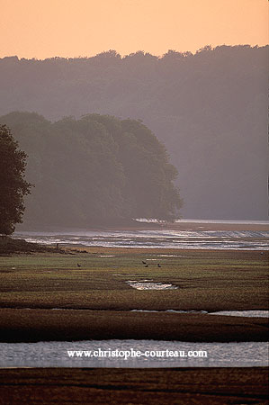 Low Tide on the mud of the 