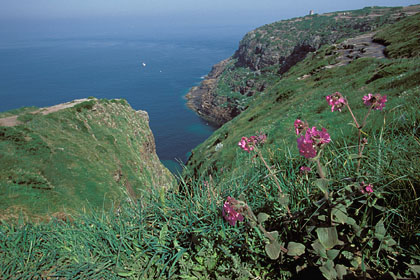 Falaises du Cap Frhel  2/2