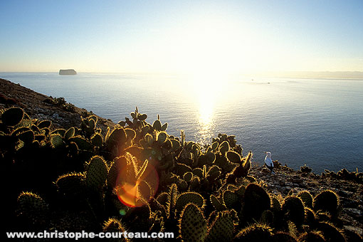 Lever de soleil sur l'le Daphn Major. Au fond, Daphn Minor