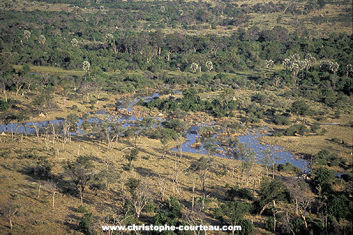 Okavango Delta at the end of the rain season