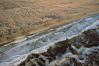 Skeleton Coast