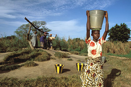 Daily Women Works : extract & carrying water from the open well