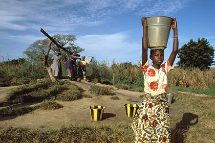 Corve quotidienne des femmes au Niger