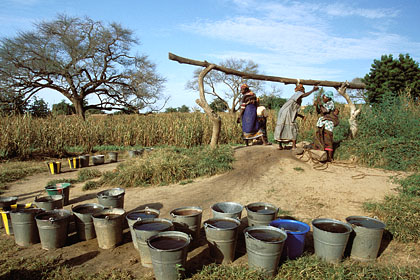 Travail quotidien des femmes : corvée d'eau au puit