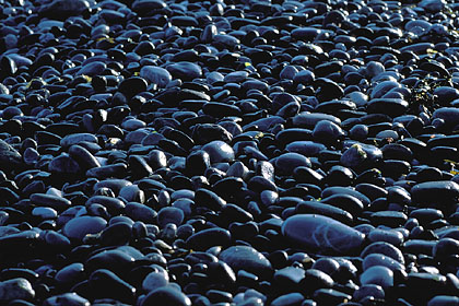 Low Tide on a Pebble Beach