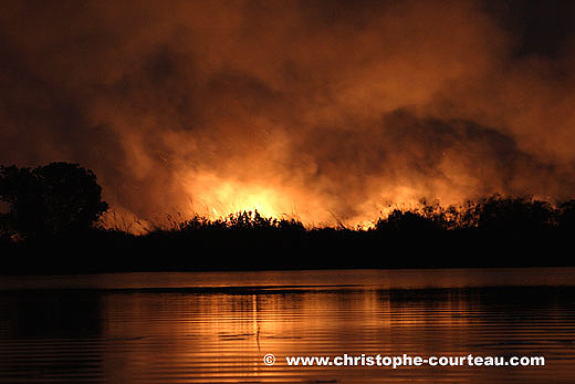 Feu de brousse la nuit. Delta de l'Okavango.