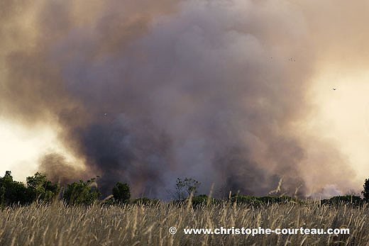 Natural Bush Fire in the Okavango Delta