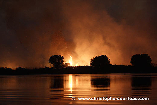 Natural Bush Fire at Night. Okavango Delta