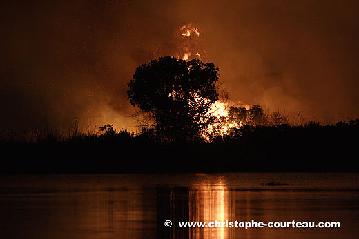 Feu de brousse la nuit. Delta de l'Okavango.