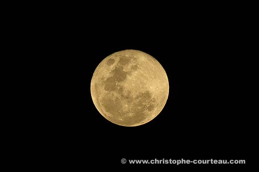 Full Moon in the Okavango, Southern Africa