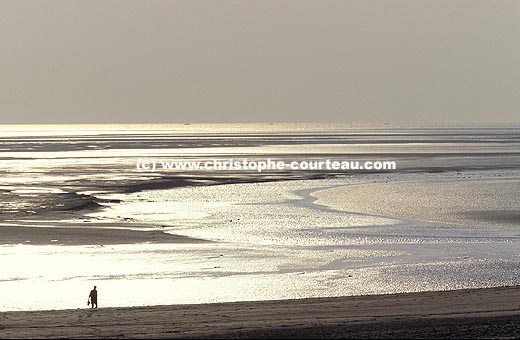 Promeneur à marée basse dans la fantastique lumière de la baie