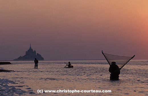 Pche traditionnelle  la crevette en baie du Mont-Saint-Michel