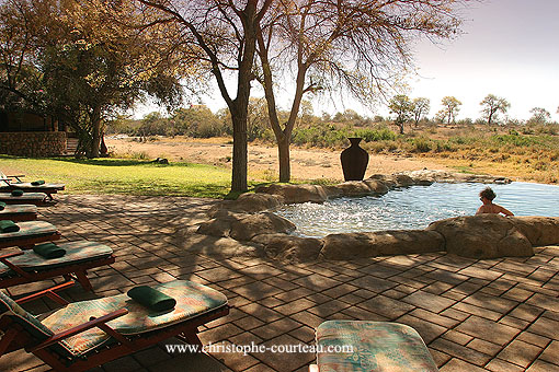 Le "point d'eau" à Motswari Game Reserve