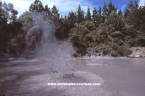 Mud Pool....