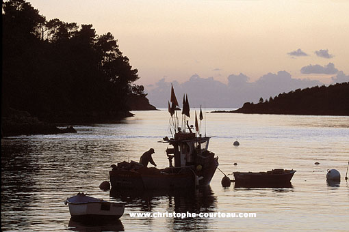 Pêcheur au port de Riec-sur-Bélon