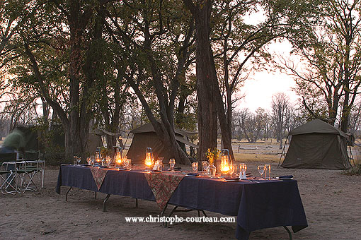 Bush Camp in Moremi. Mobile Safaris.