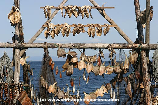 Schoir traditionnel  poissons