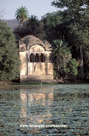 Ancien temple dans le Parc National de Ranthambore