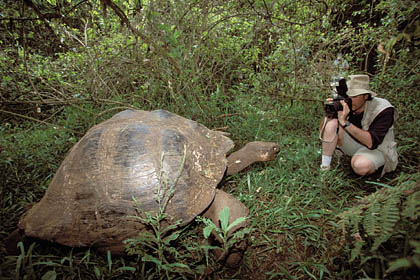 Tortue gante des Galapagos.... et chelle humaine !