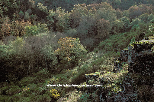 Le Val sans Retour  l'automne / Fort de Brocliande