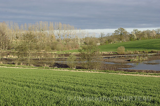 Wetland & Crops