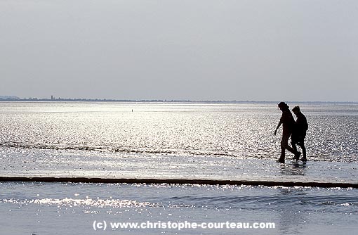 Promeneuse  mare basse en baie du Mont-st-Michel