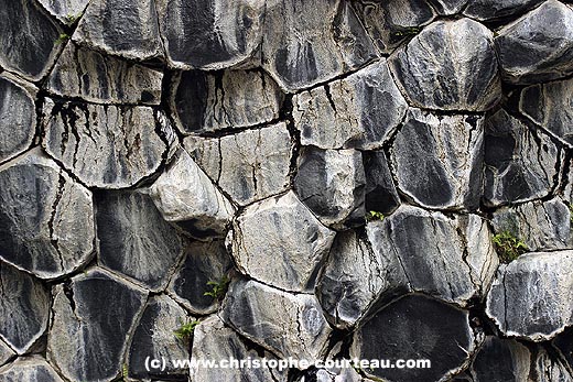 Amazing View of Basalt Columns of Jkulsargljufur Nat. Park